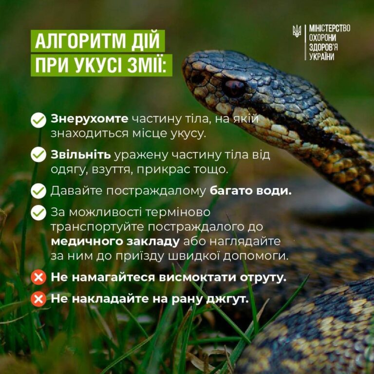 Літні прогулянки та відпочинок на природі можуть збільшити ризик укусів різних комах, а також змій