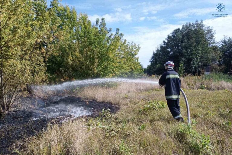 За минулу добу сталося шістнадцять загорянь сухої трави