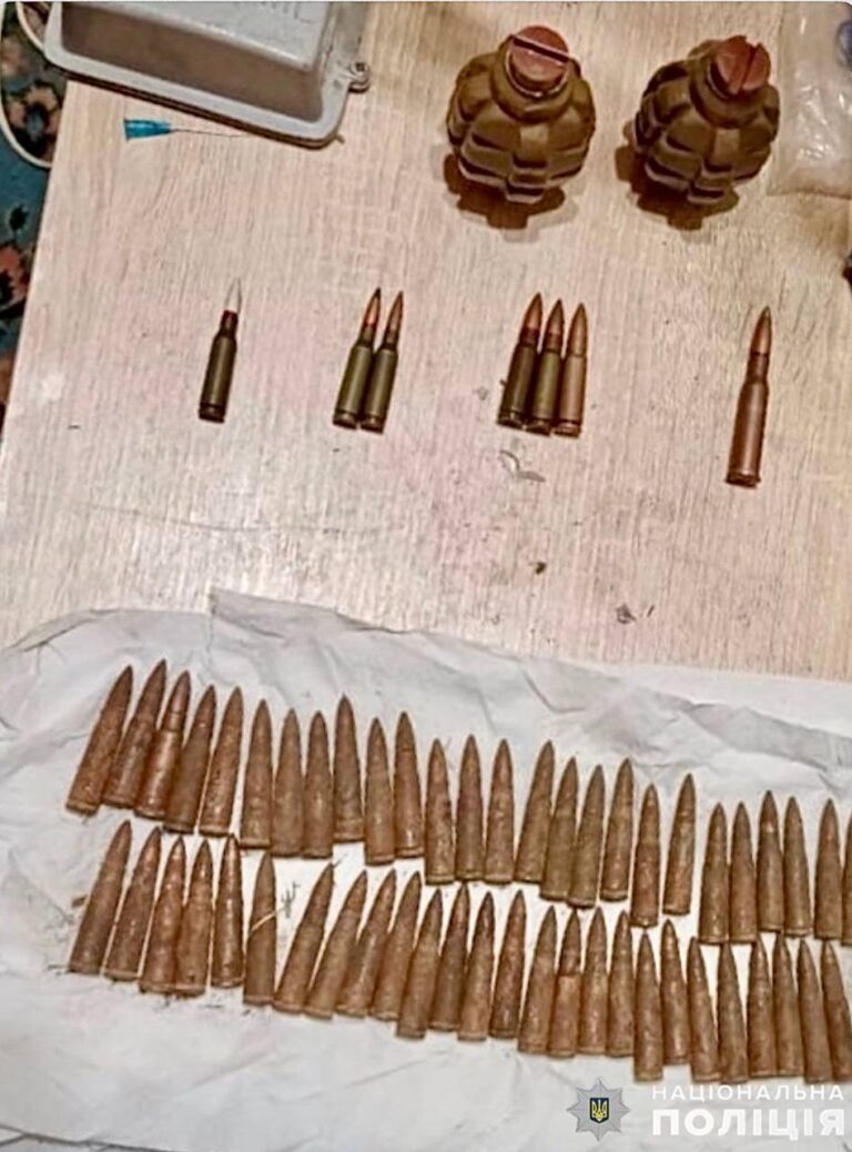 У Малині поліцейські вилучили понад півсотні боєприпасів