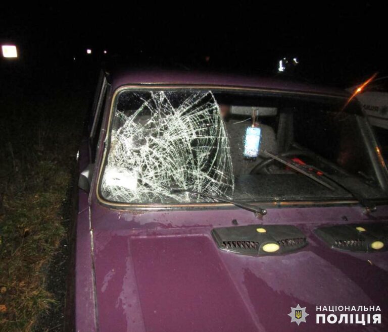 На Житомирщині поліцейські подбали про травмованого у ДТП до прибуття медиків