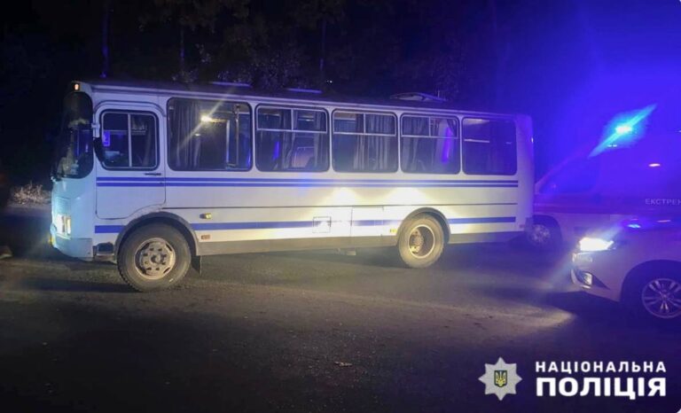 За минулу добу у ДТП на Житомирщині загинули двоє пішоходів