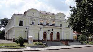 Запрошуємо вас відкрити світ музичної чарівності разом із Житомирською обласною філармонією ім. С. Ріхтера цього листопада!