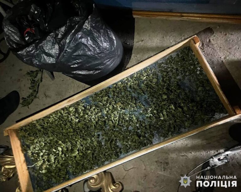 Понад 1,5 кг канабісу вилучили поліцейські з обійстя жителя Бердичівського району