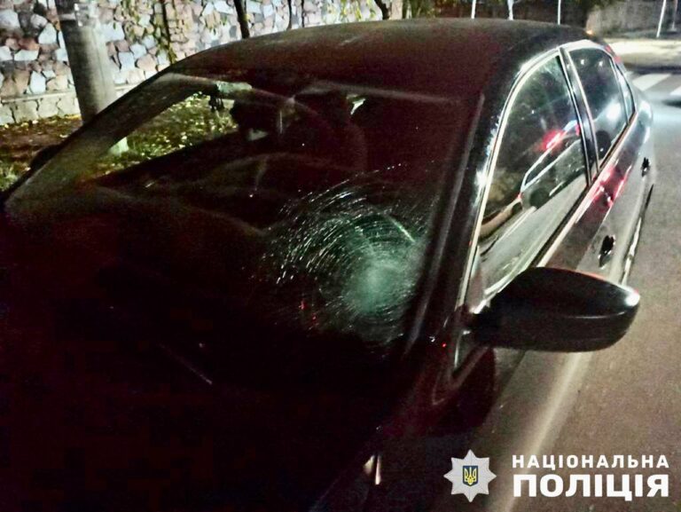 У Житомирі поліцейські розслідують обставини ДТП зі смертельним травмуванням жінки-пішохода