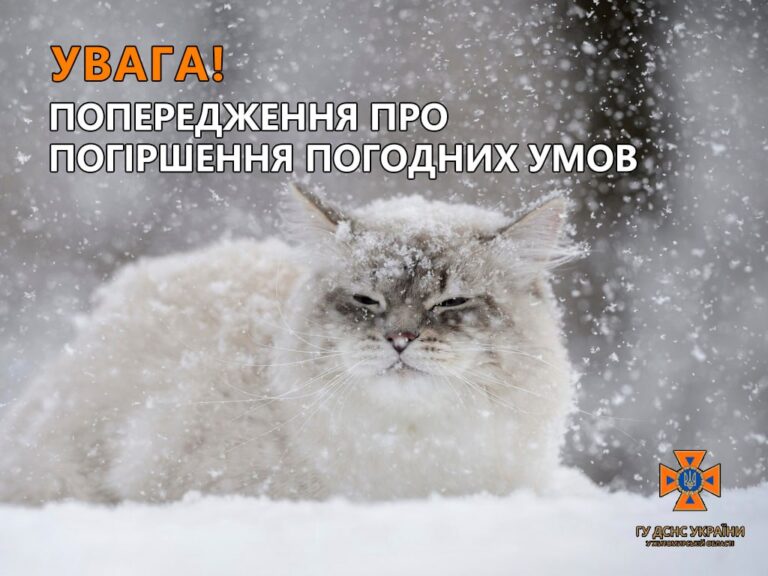 В Україну йде перший сніг!