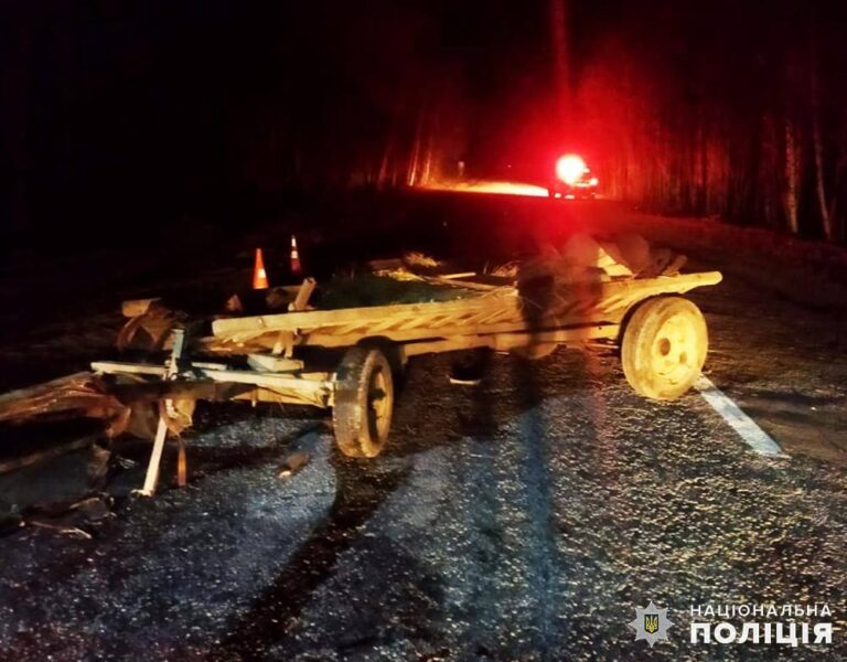 У Романівській громаді легковик зіткнувся з возом: поліцейські проводять розслідування