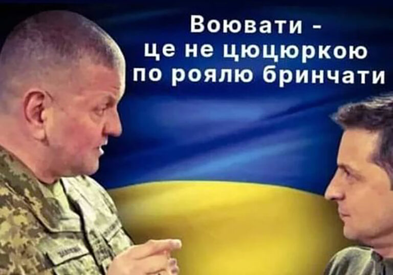 Як Зеленський з Залужним – мем року: «Воювати – це не цюцюркою по роялю бринчати»