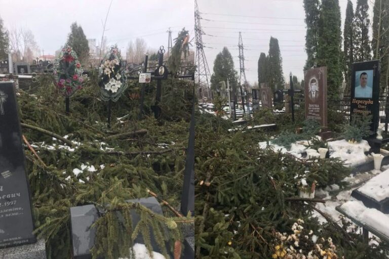 Вандалізм на житомирському кладовищі