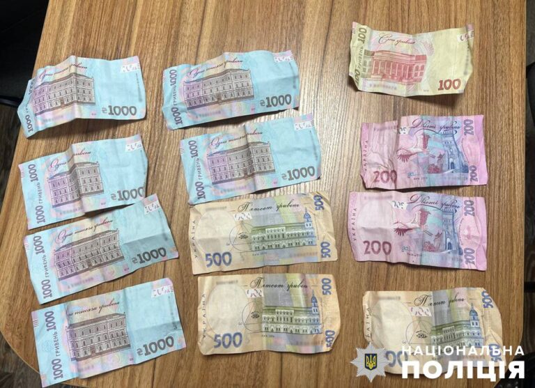 За грабежі двоє братів з Бердичівщини постануть перед судом: слідчі завершили розслідування