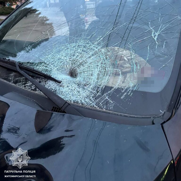 ТОРівці затримали водія з ознаками сп’яніння, який наїхав на пішохода та зник з місця події