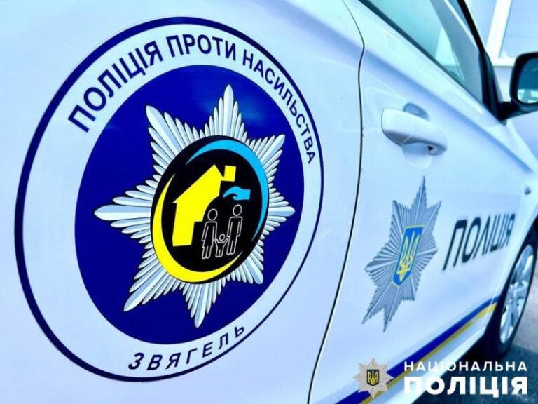 За вчинення домашнього насильства двоє чоловіків постануть перед судом: звягельські поліцейські завершили розслідування