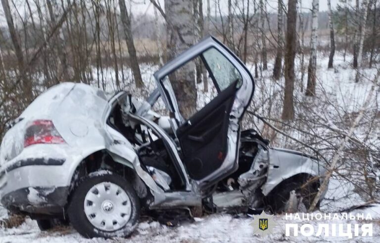 Поліцейські з’ясовують обставини смертельної ДТП у Малинській громаді