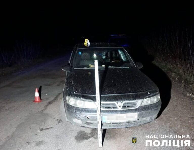 Бердичівська поліція розслідує обставини загибелі чоловіка на автошляху в Андрушівській громаді