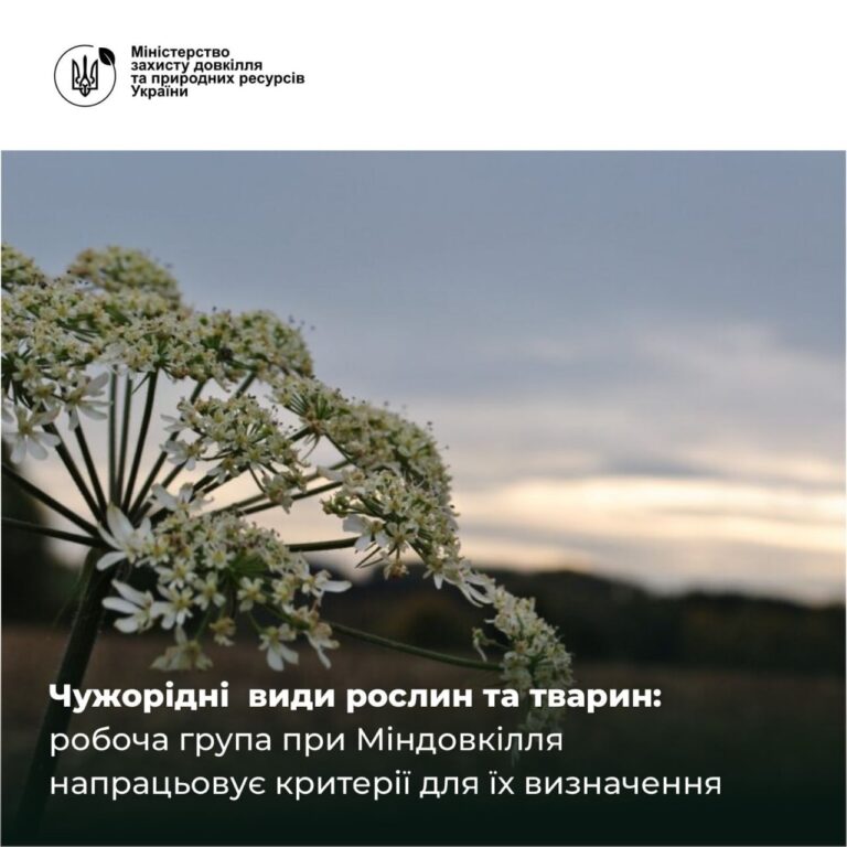 Чужорідні види рослин та тварин: робоча група при Міндовкілля напрацьовує критерії для їх визначення