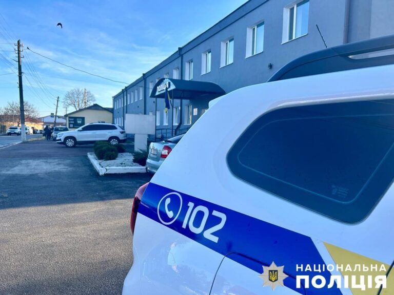 Поліцейські викрили двох жителів Звягельщини у крадіжках