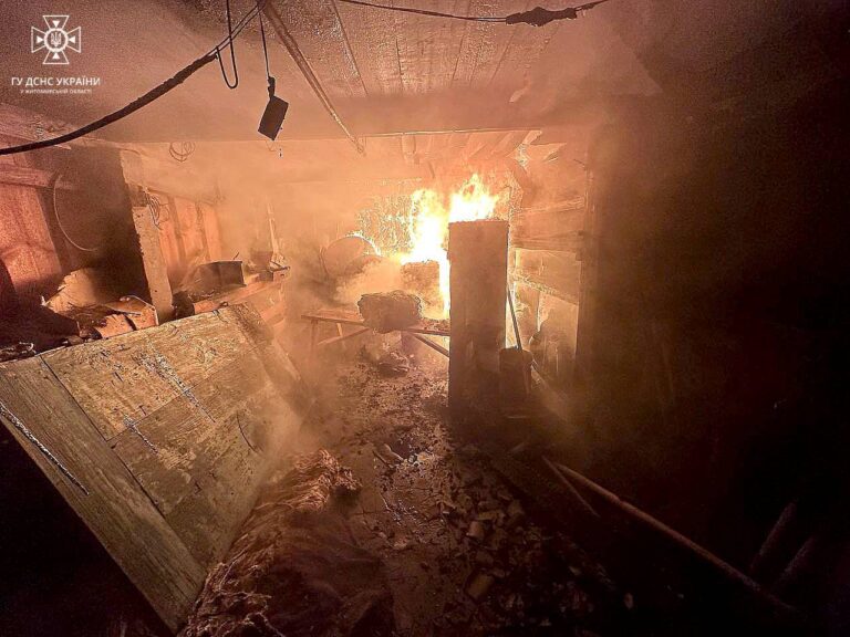 Коростенщина: вночі рятувальники залучались на гасіння пожежі в приватному домогосподарстві у с. Калинівка Лугинської громади.