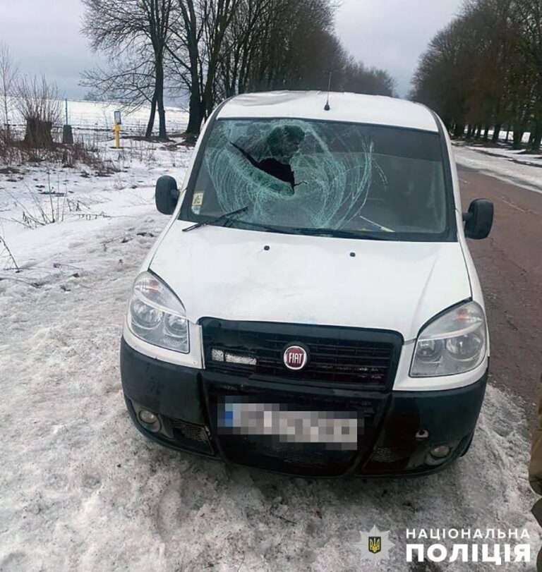 Поліція розслідує обставини смертельної ДТП у Словечанській громаді