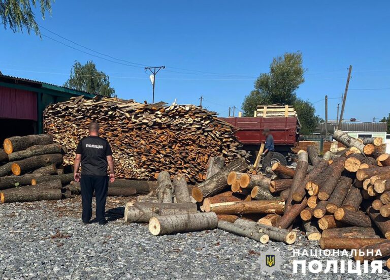 Вирубка на понад 2 мільйони гривень: житомирська поліція оголосила підозри майстру лісу та його спільникам