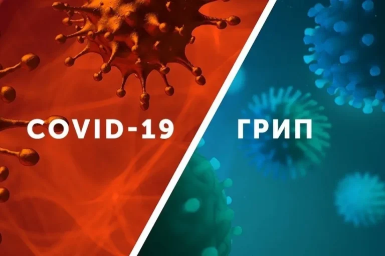 На Житомирщині на минулому тижні від грипу померли двоє людей, від ковіду – четверо