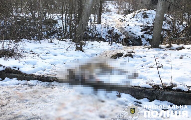 У Романівській громаді поліція встановлює обставини жорстокого вбивства собаки