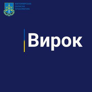 10 років позбавлення волі – на Житомирщині чоловік забив до смерті ще одну співмешканку