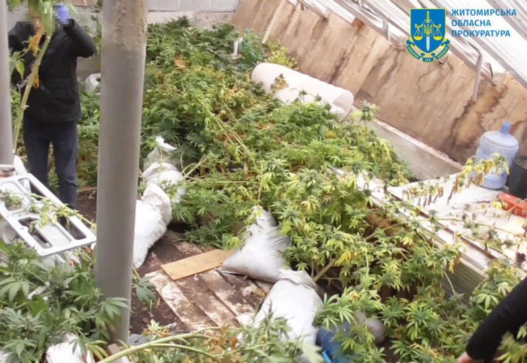На Житомирщині судитимуть наркоділка «широкого профілю» за низку злочинів