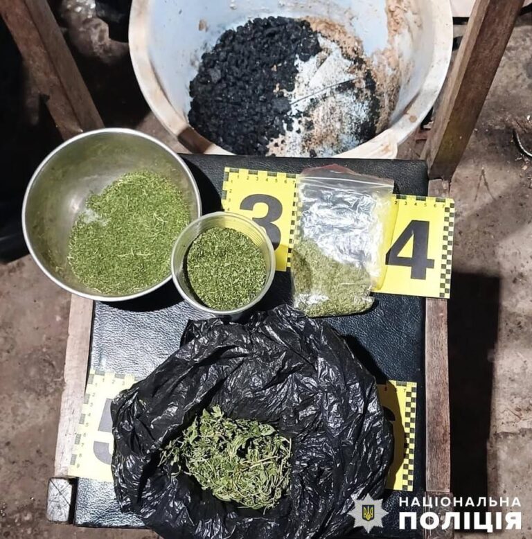 На Коростенщині поліція затримала чоловіка, який вдома зберігав розфасовані пакунки з наркотиками