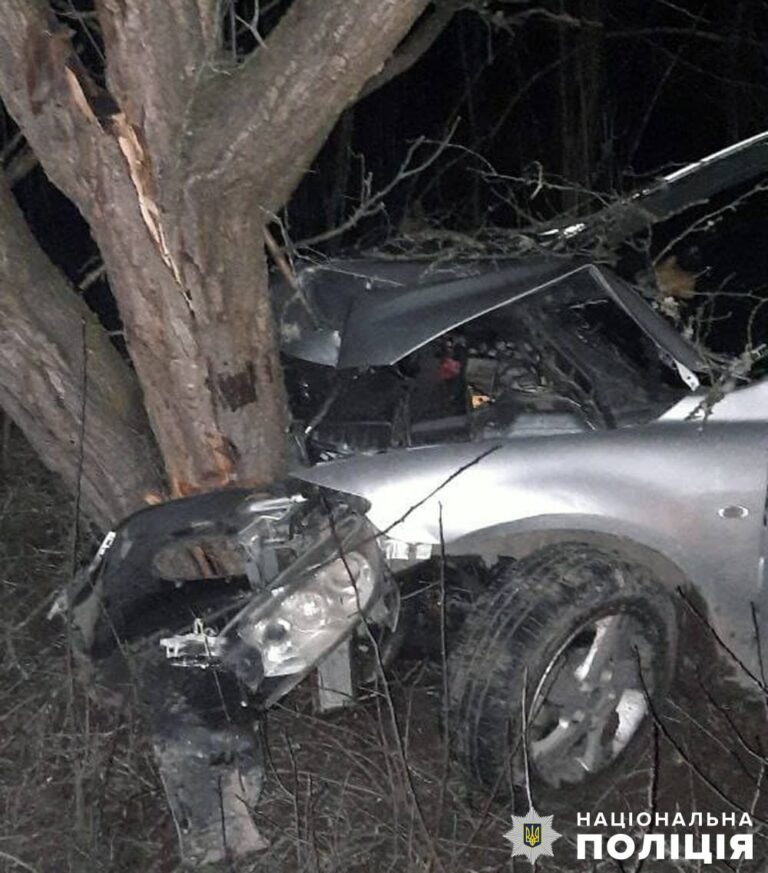 Автотроща на Бердичівщині: пасажирки з синцями, авто пошкоджено, водій очікує покарання
