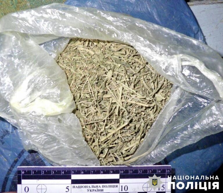 Минулої доби поліцейські задокументували 4 випадки незаконного зберігання наркотиків на Коростенщині