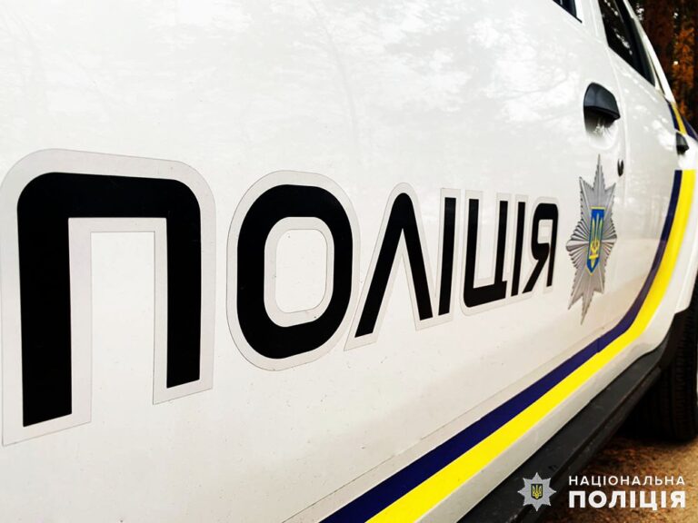 Перед судом постане житомирянин за смертельне травмування собаки