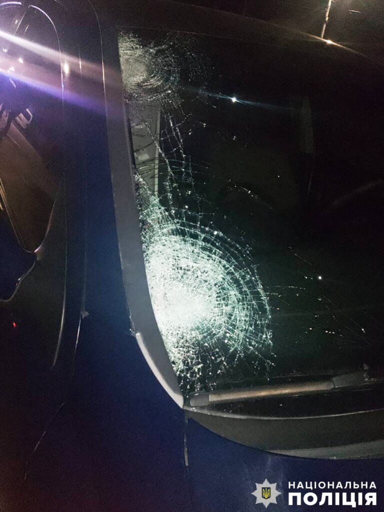 У Радомишлі в смертельній ДТП загинула жінка: поліція встановлює обставини