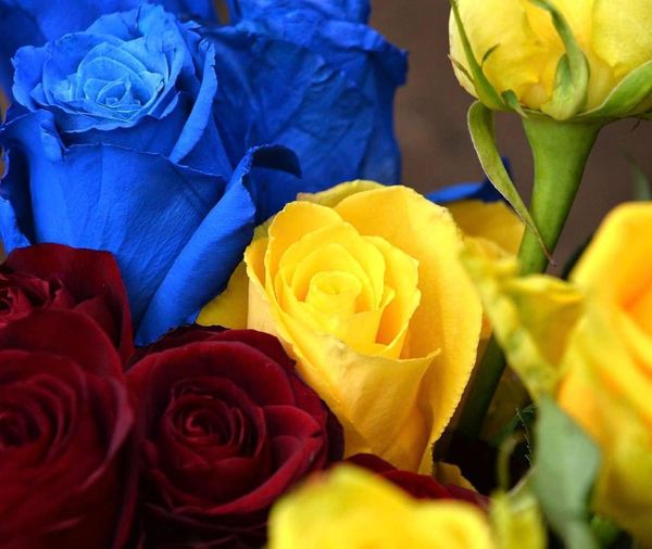 На щиті повернувся Герой Єпіфанцев Павло Олегович