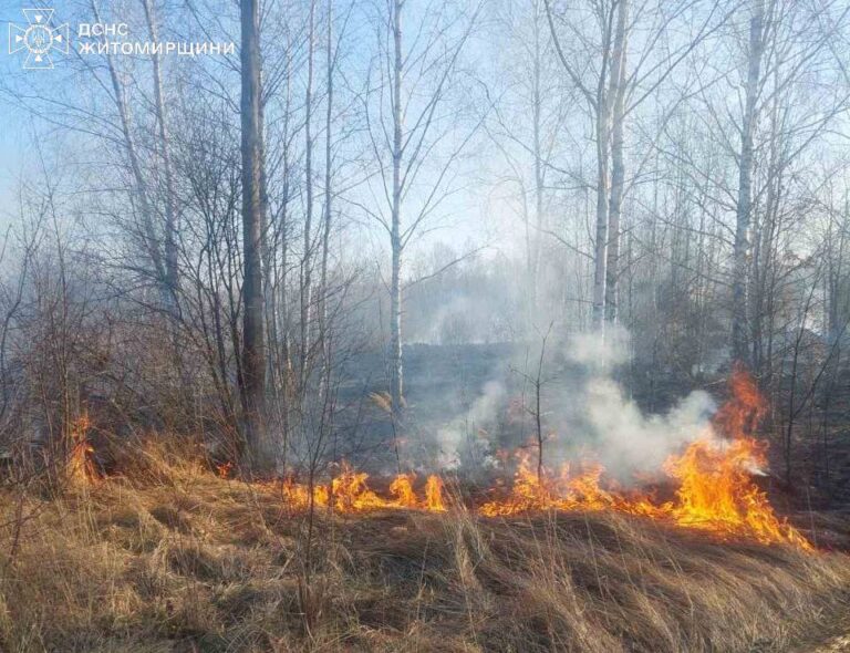 Минулої доби вогнеборці області ліквідували 36 пожеж, серед яких 30 – це знову суха трава!