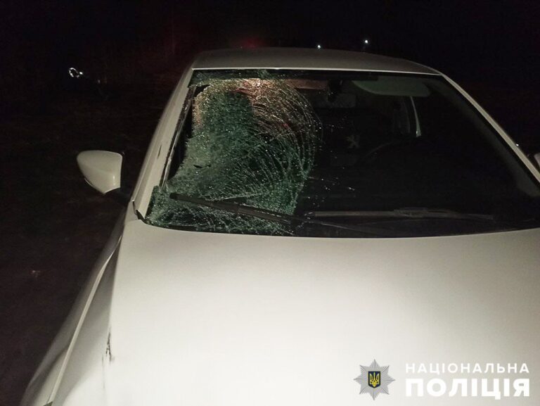 Поліція розслідує ДТП неподалік Житомира, в якій травмовано пішохода