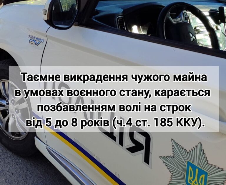 Бердичівські поліцейські викрили причетних до крадіжок чужого майна