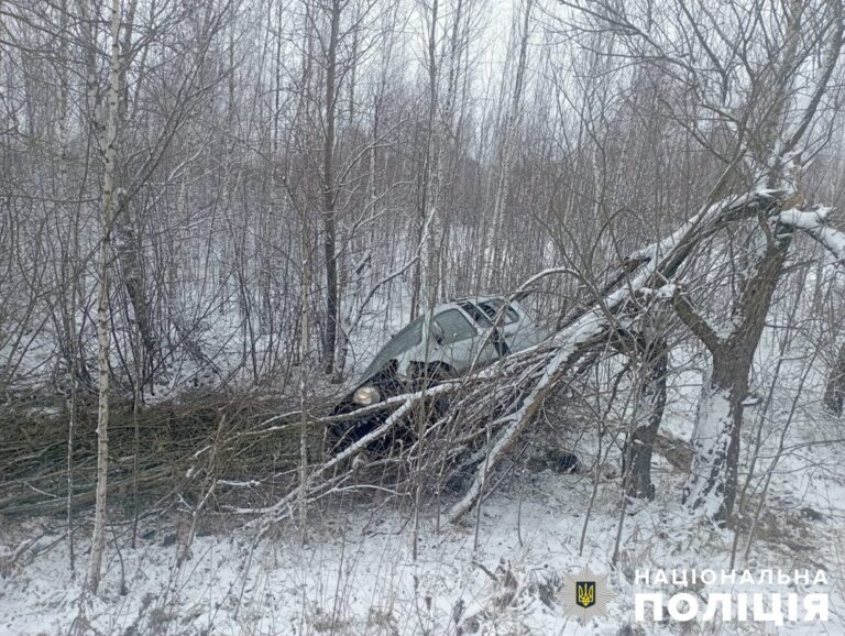 ДТП у Хорошівській громаді: поліція з’ясовує обставини