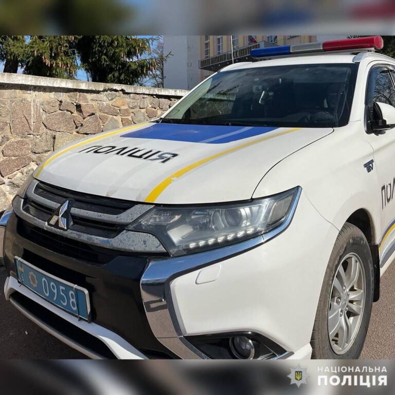 У Лугинській громаді чоловік побив товариша, а у Коростені – знайому: поліцейські відправили на лаву підсудних кривдників