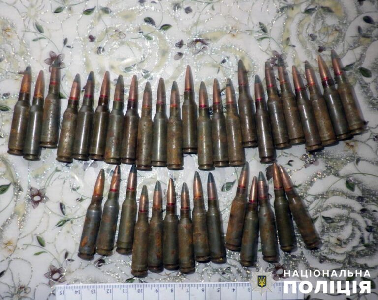 У Народицькій громаді поліцейські вилучили зброю та набої з приватних обійсть