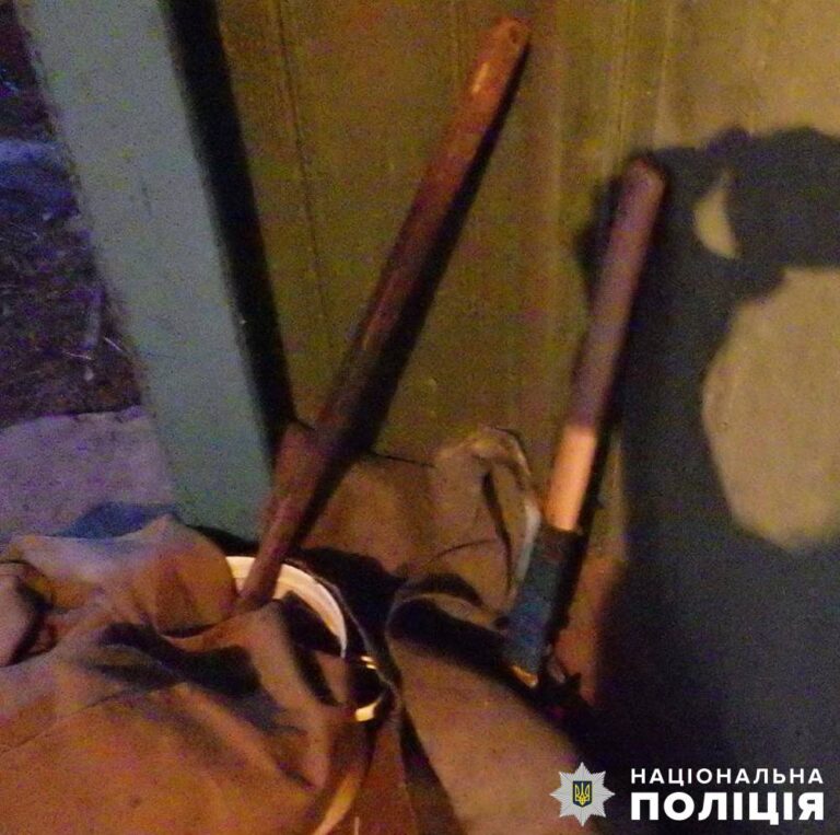 Поліцейські затримали причетного до вбивства у Житомирському районі
