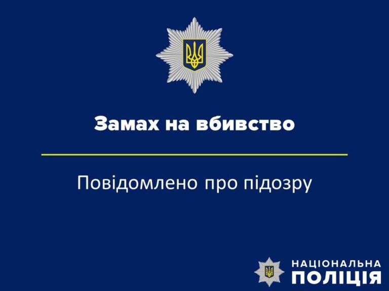 Травмував товариша сокирою: у передмісті Житомира поліцейські затримали причетного до замаху на вбивство