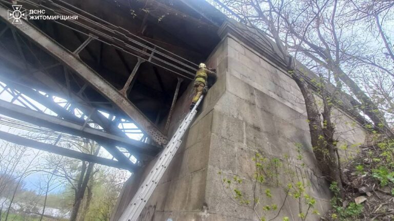 Сьогодні рятувальники допомогли підлітку спуститися з опори мосту в м. Коростишів Житомирського району