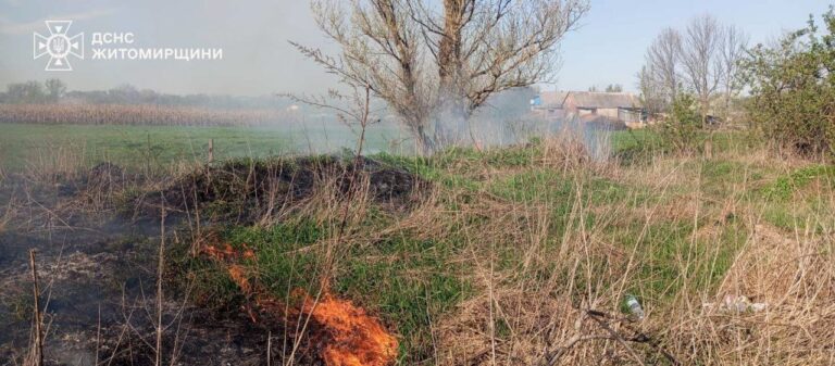 Впродовж минулої доби вогнеборці області ліквідували 5 пожеж сухої рослинності
