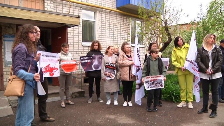 У Житомирі розслідують вбивство та травмування тварин