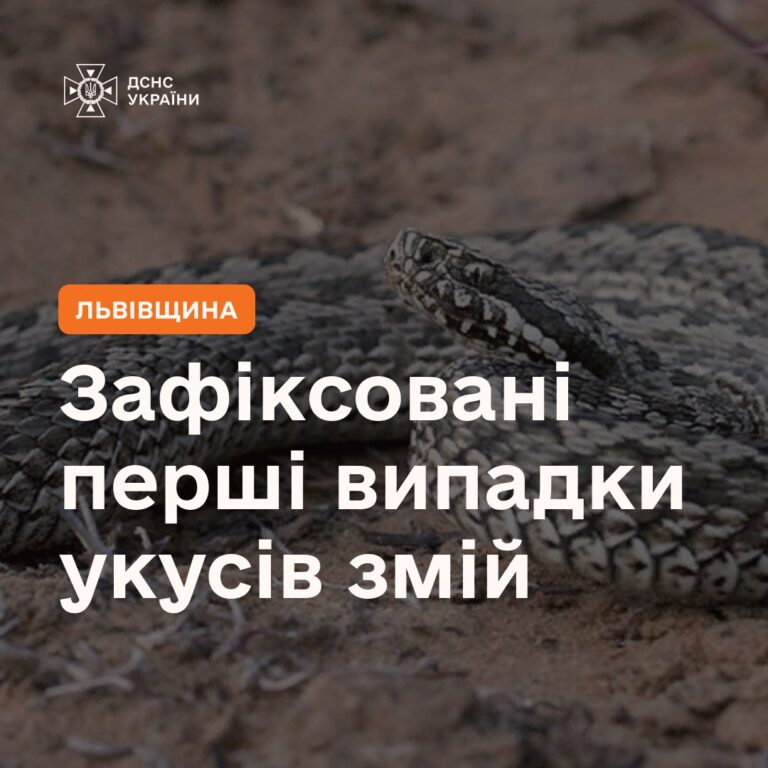 На Львівщині змії покусали людей