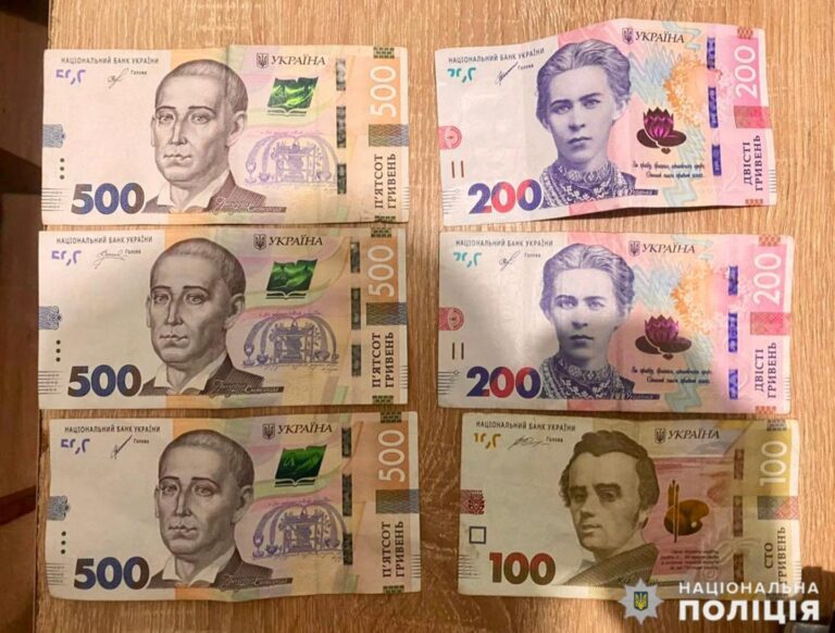 В Овручі поліцейські задокументували хабар, наданий нетверезим водієм