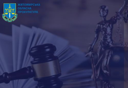 Годування немовляти супроводжувала катуванням – на Житомирщині матір засуджено до 4-х років позбавлення волі з іспитовим строком