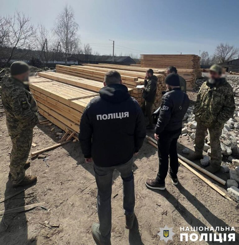 Житомирські поліцейські викрили групу «чорних лісорубів», серед яких майстер лісу