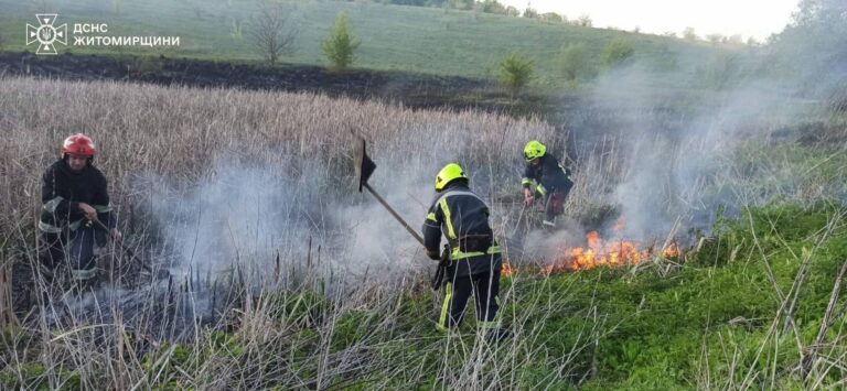 Впродовж минулої доби рятувальниками ліквідовано дві пожежі сухої трави та одна торфу