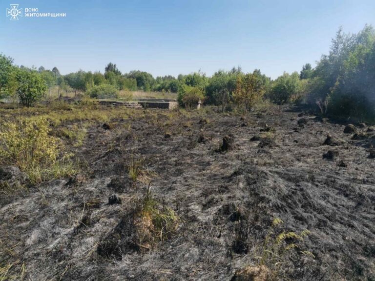Рятувальники Звягельщини ліквідували 3 загоряння сухої рослинності