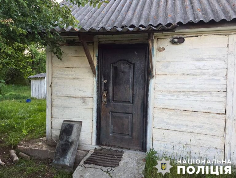 Хорошівські поліцейські затримали підозрювану у пораненні жителя громади